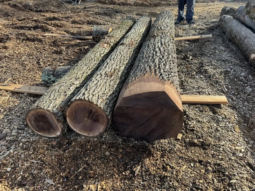 Custom yard maintenance in Stanfordville, NY - Malcarne Tree PHC & Landscape