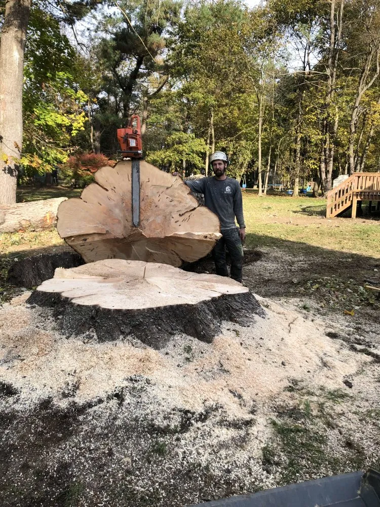 Affordable residential landscaping for year-round maintenance in Stanfordville, NY by Malcarne Tree PHC & Landscape