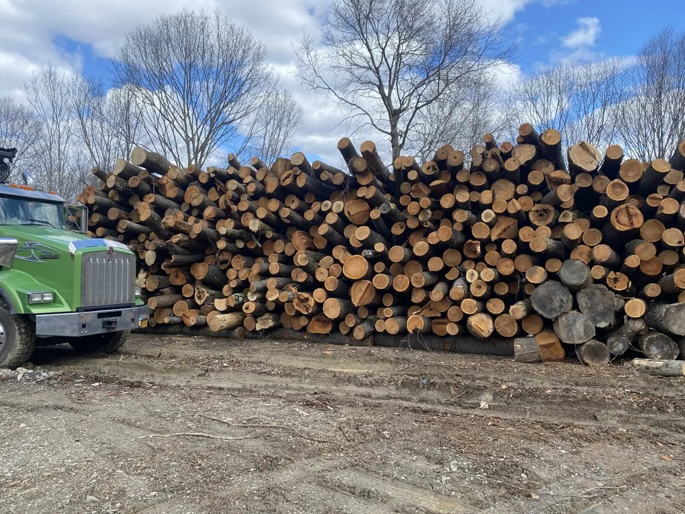 Top-rated outdoor landscaping for residential properties across Stanfordville, NY - Malcarne Tree PHC & Landscape