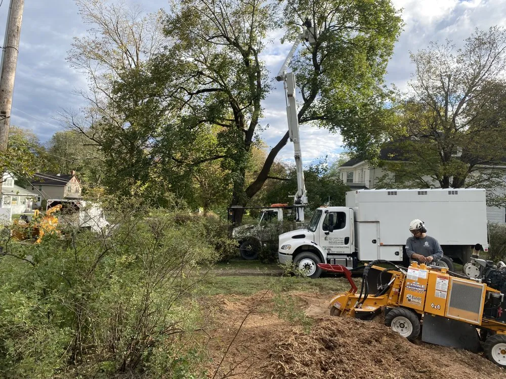Professional outdoor landscaping in Stanfordville, NY - Malcarne Tree PHC & Landscape