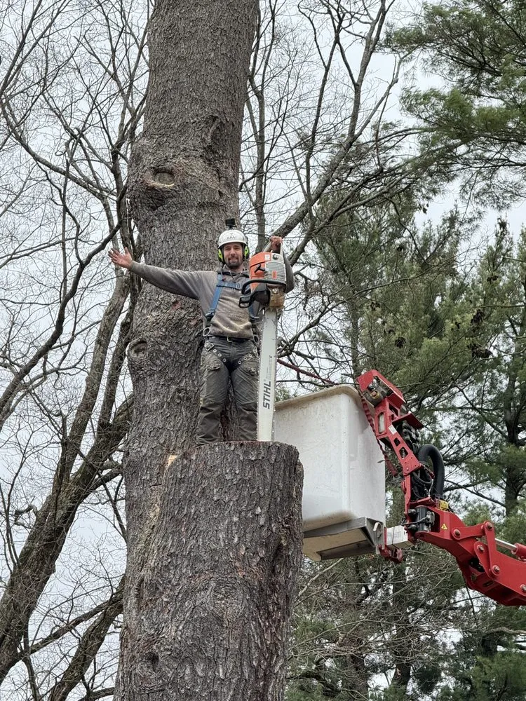 Professional garden landscaping in Stanfordville, NY - Malcarne Tree PHC & Landscape