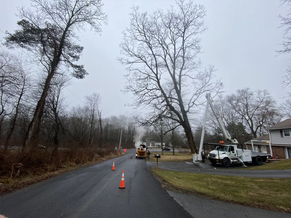 Top-rated yard cleanup service in Stanfordville, NY by Malcarne Tree PHC & Landscape