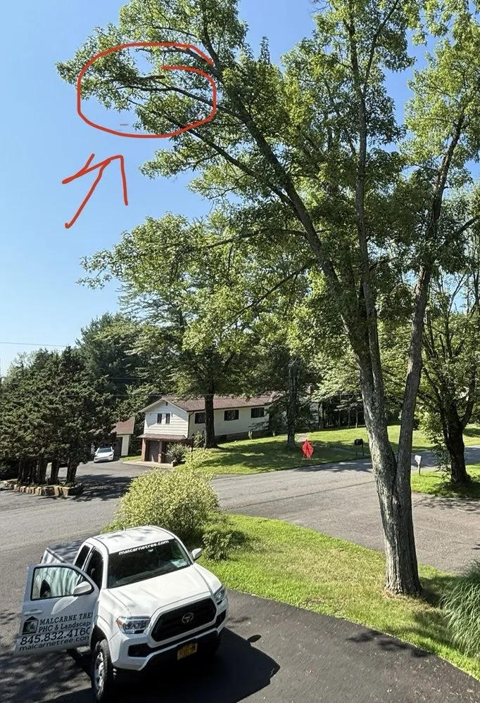 Professional lawn mowing service in Stanfordville, NY - Malcarne Tree PHC & Landscape