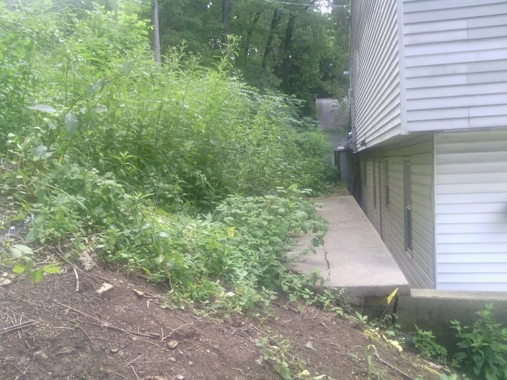 Reliable yard cleanup service in Harrisburg, PA - Malco Landscape