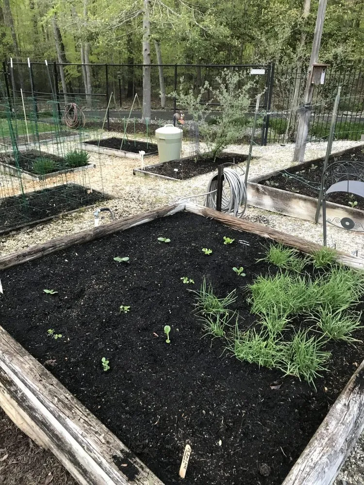 Reliable outdoor landscaping for year-round maintenance across Fairfax, VA - Malcolms Microfarms