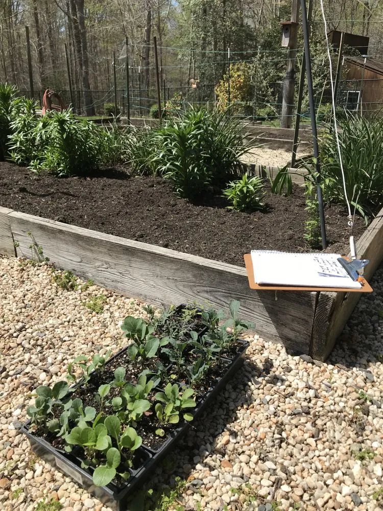 Top-rated lawn mowing service for year-round maintenance in Fairfax, VA by Malcolms Microfarms