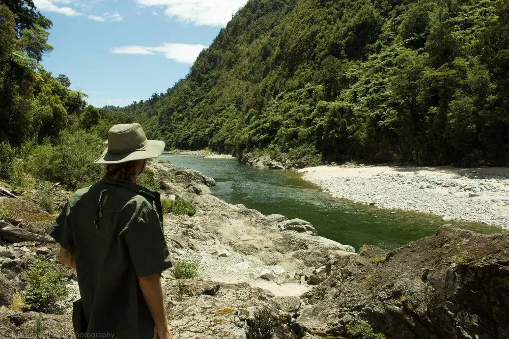Affordable yard cleanup service experts serving Fairfax, VA - Malcolms Microfarms