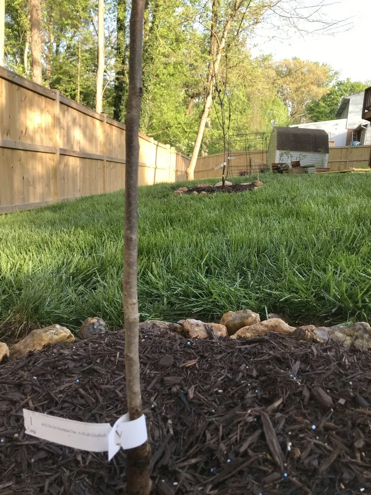 Affordable garden landscaping in Fairfax, VA by Malcolms Microfarms