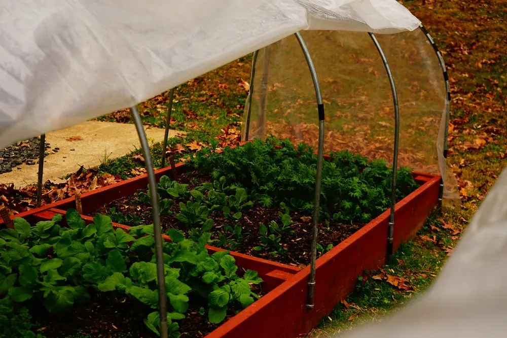 Custom yard maintenance experts serving Fairfax, VA - Malcolms Microfarms