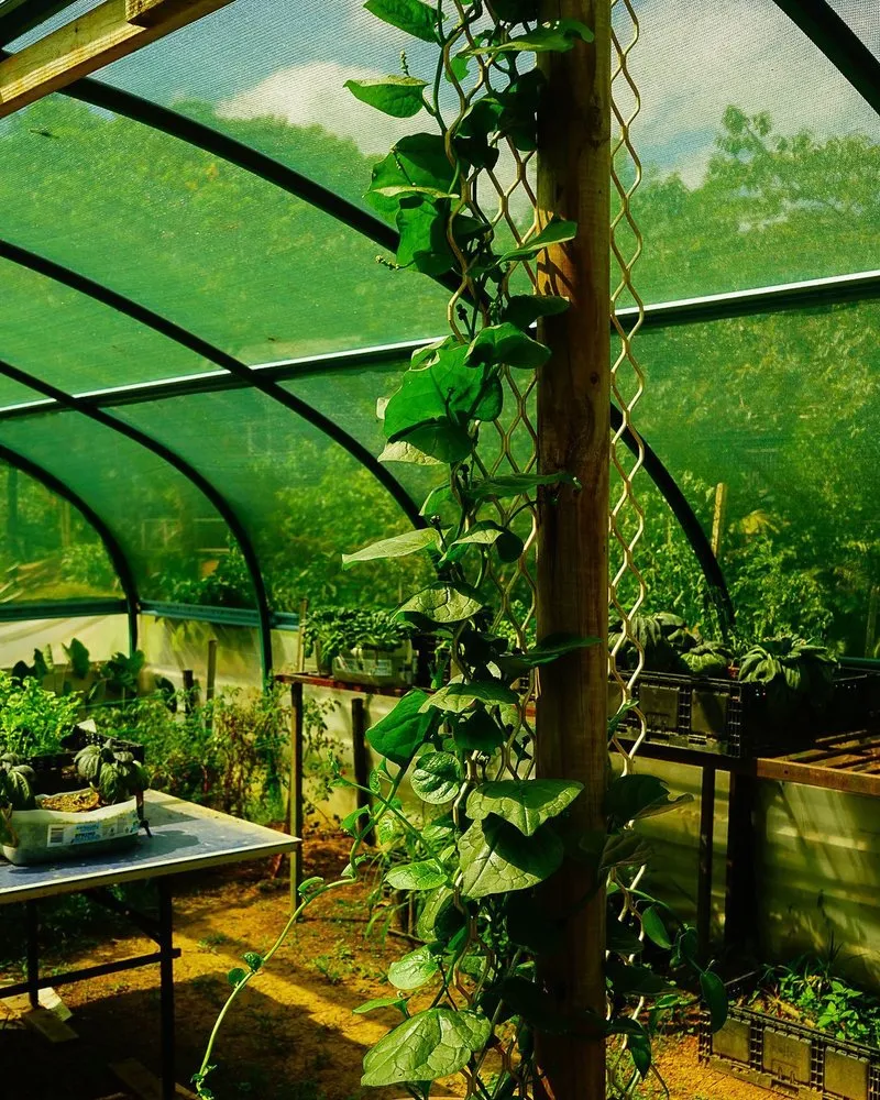 Reliable landscape installation experts serving Fairfax, VA - Malcolms Microfarms