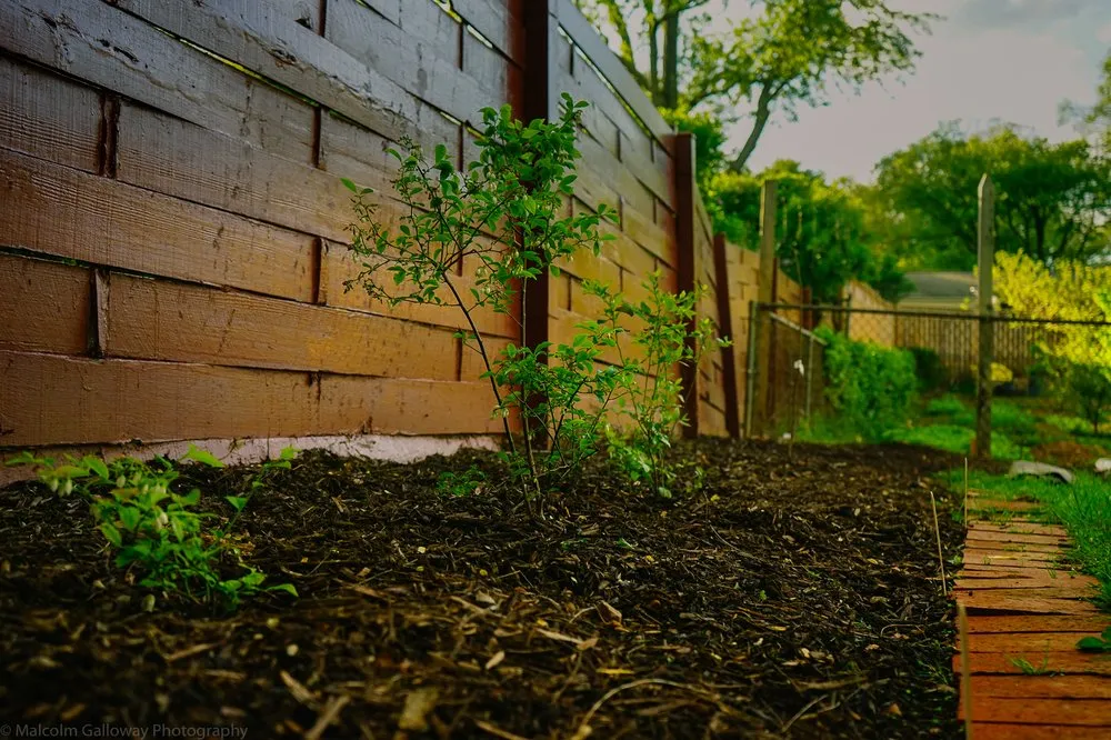 Professional outdoor landscaping in Fairfax, VA - Malcolms Microfarms