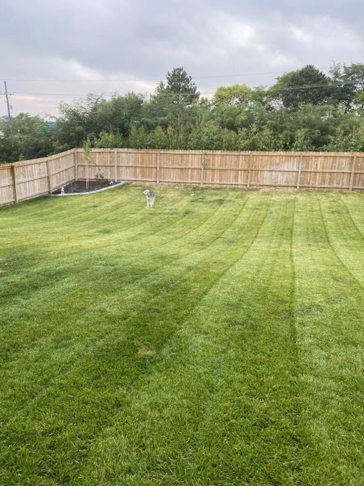 Reliable yard cleanup service for beautiful yards in Omaha, NE by Malcom Lawn Solutions