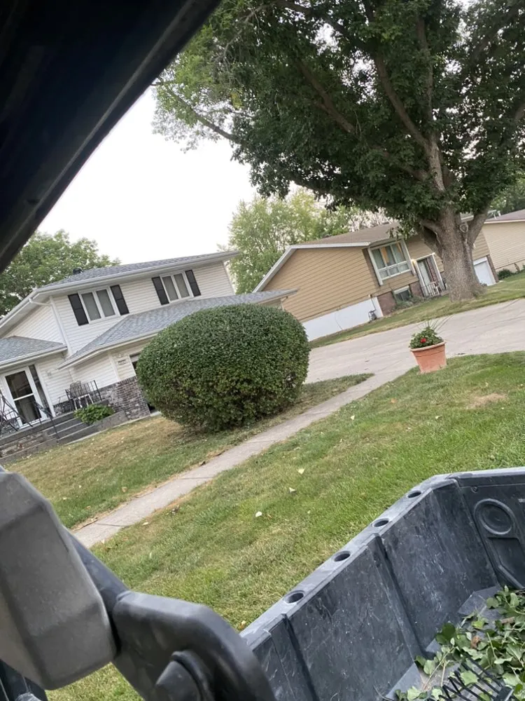 Expert yard cleanup service in Omaha, NE - Malcom Lawn Solutions