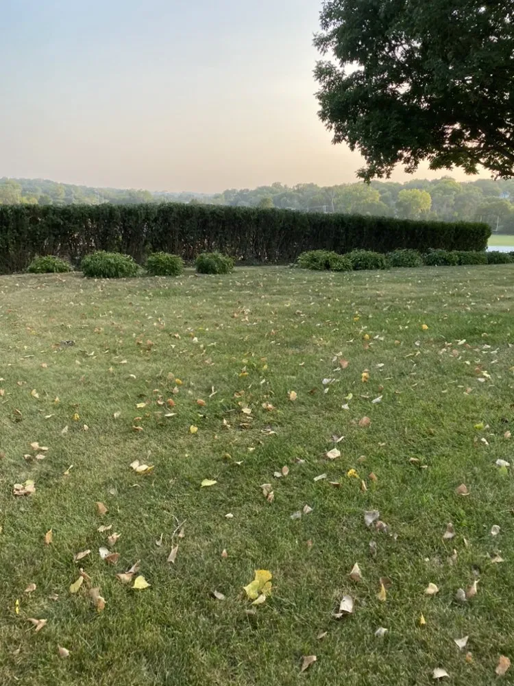 Reliable lawn care service in Omaha, NE - Malcom Lawn Solutions