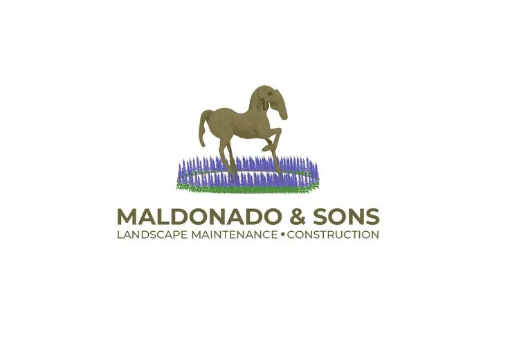 Affordable landscape design in Valley Center, CA by Maldonado and Son Landscape