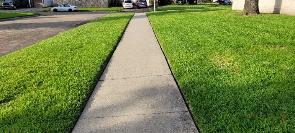 Top-rated yard cleanup service for homes across Houston, TX - Maldonado Home Services