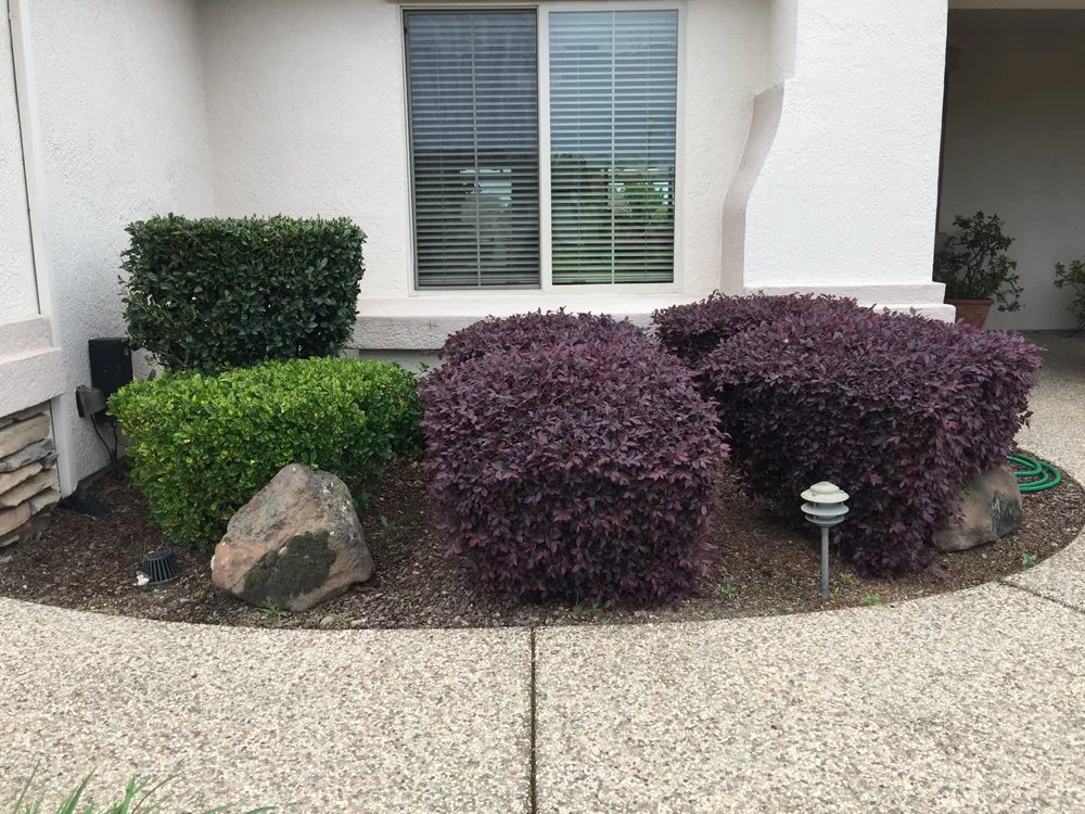 Expert landscaping services near you across Yuba City, CA - Maldonado Landscaping and Repairs