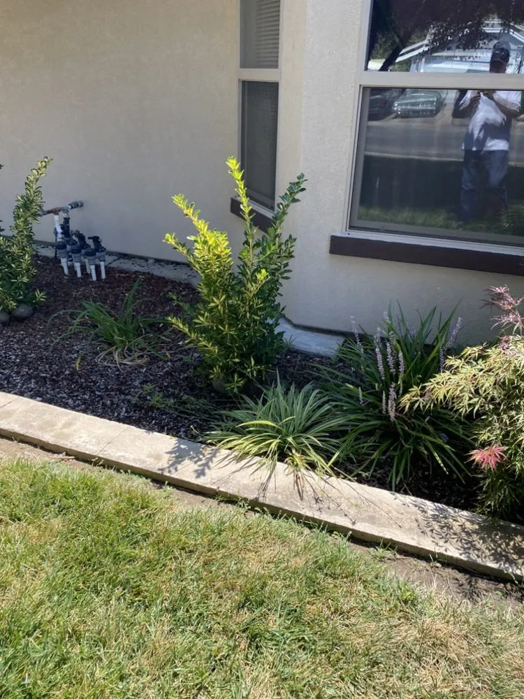 Trusted landscaping services in Yuba City, CA by Maldonado Landscaping and Repairs