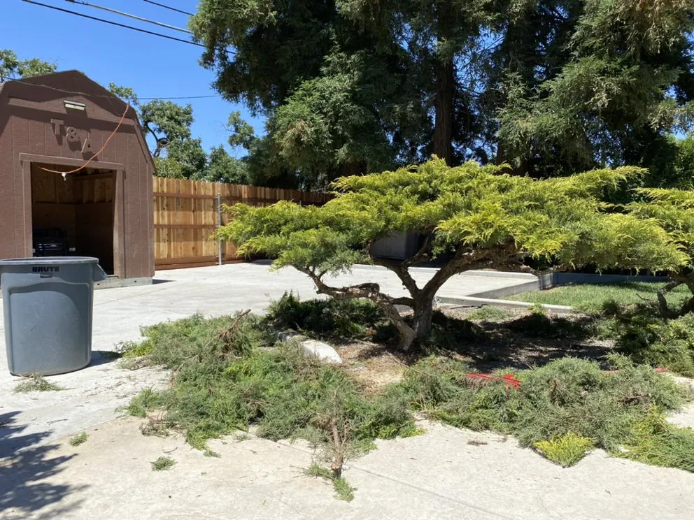 Professional landscape design in Yuba City, CA by Maldonado Landscaping and Repairs