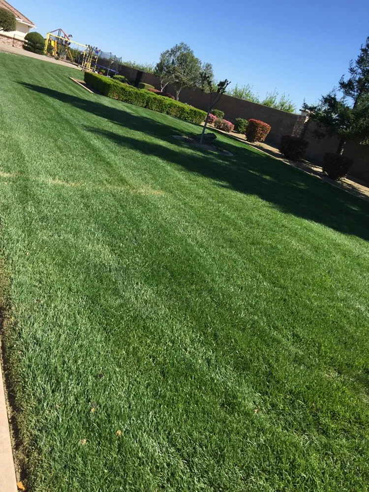 Affordable lawn care service near you in Yuba City, CA by Maldonado Landscaping and Repairs