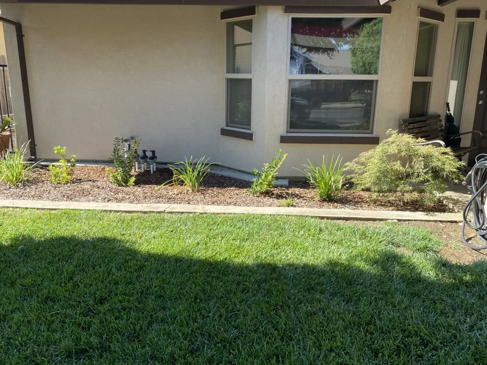 Expert yard cleanup service for homes in Yuba City, CA by Maldonado Landscaping and Repairs