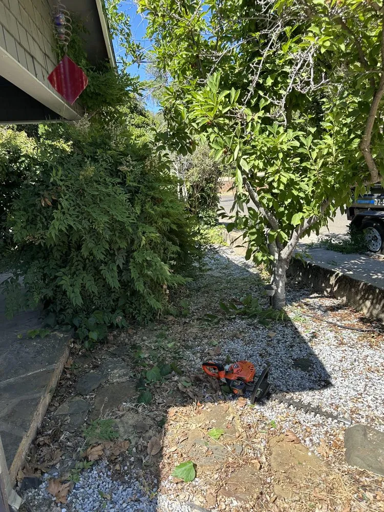 Custom landscape design in Ceres, CA by Maldonado Landscaping