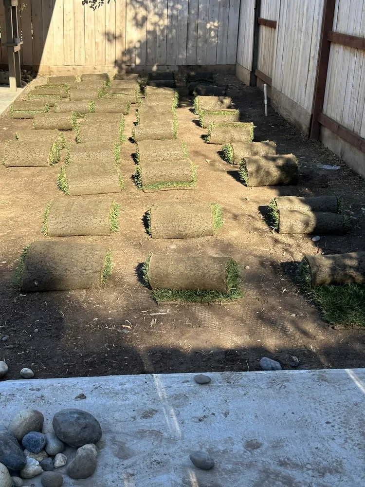 Top-rated yard cleanup service for residential properties in Ceres, CA by Maldonado Landscaping