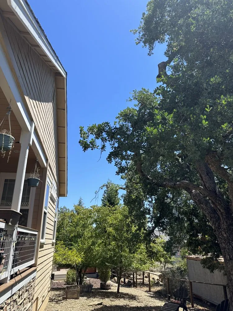 Expert residential landscaping in Ceres, CA - Maldonado Landscaping