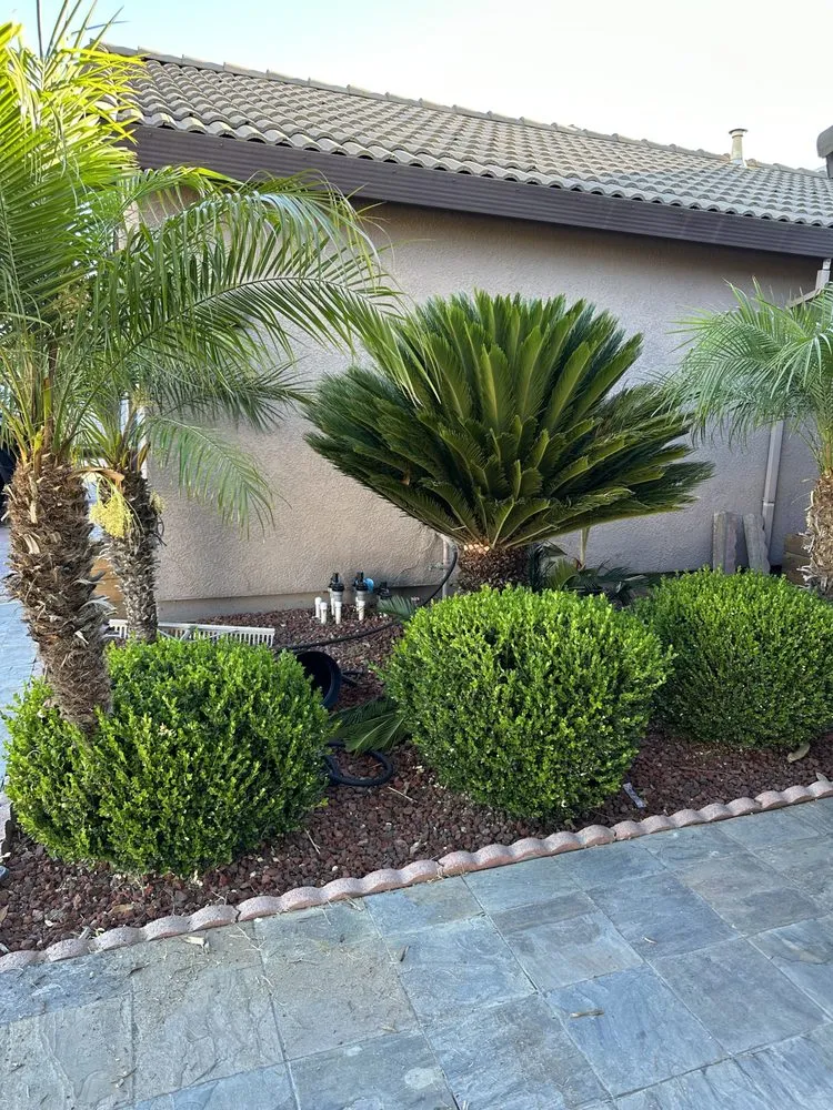 Reliable landscape design in Ceres, CA by Maldonado Landscaping