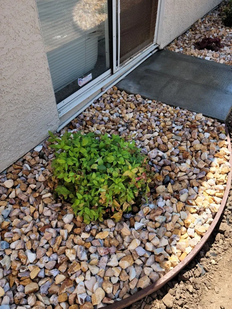 Affordable yard maintenance for beautiful yards in Ceres, CA by Maldonado Landscaping