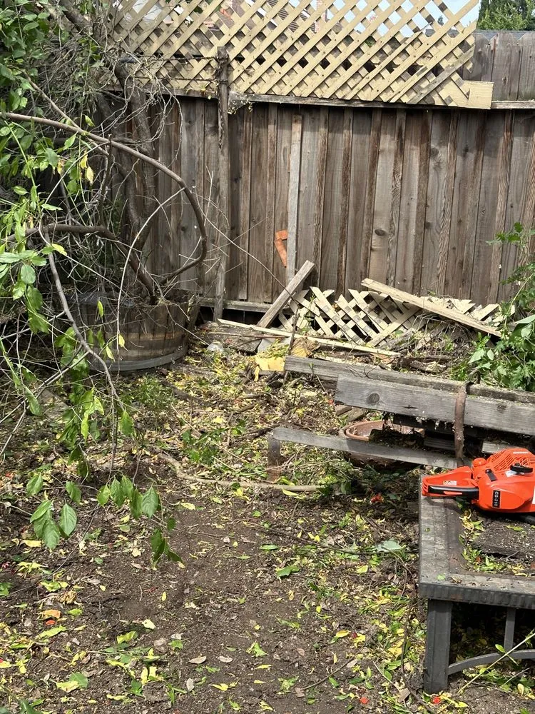 Affordable yard cleanup service in Ceres, CA - Maldonado Landscaping