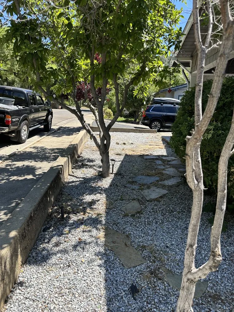 Reliable yard cleanup service for outdoor upgrades across Ceres, CA - Maldonado Landscaping