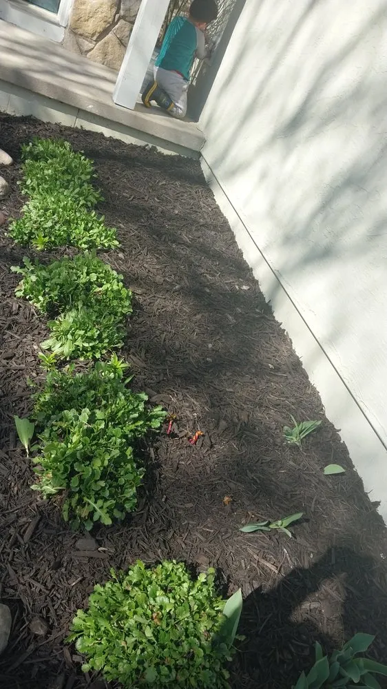 Professional outdoor landscaping for homes across Columbus, OH - Maldonado Landscaping