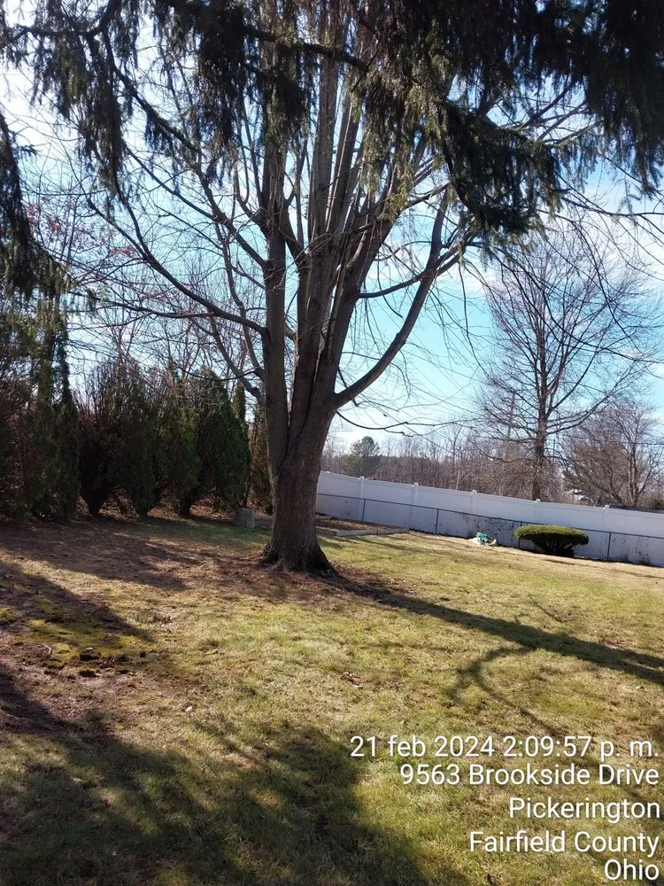 Local lawn care service experts serving Columbus, OH - Maldonado Landscaping