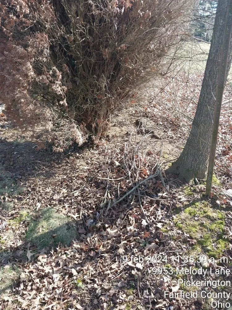 Top-rated yard cleanup service experts serving Columbus, OH - Maldonado Landscaping