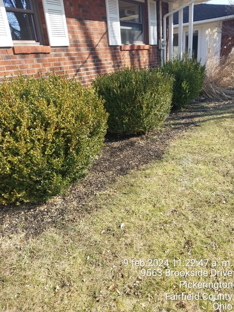 Local garden landscaping for year-round maintenance across Columbus, OH - Maldonado Landscaping