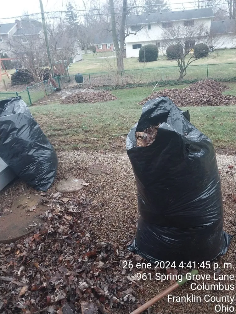 Top-rated yard cleanup service for homes across Columbus, OH - Maldonado Landscaping