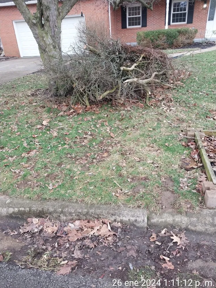 Local yard cleanup service in Columbus, OH - Maldonado Landscaping