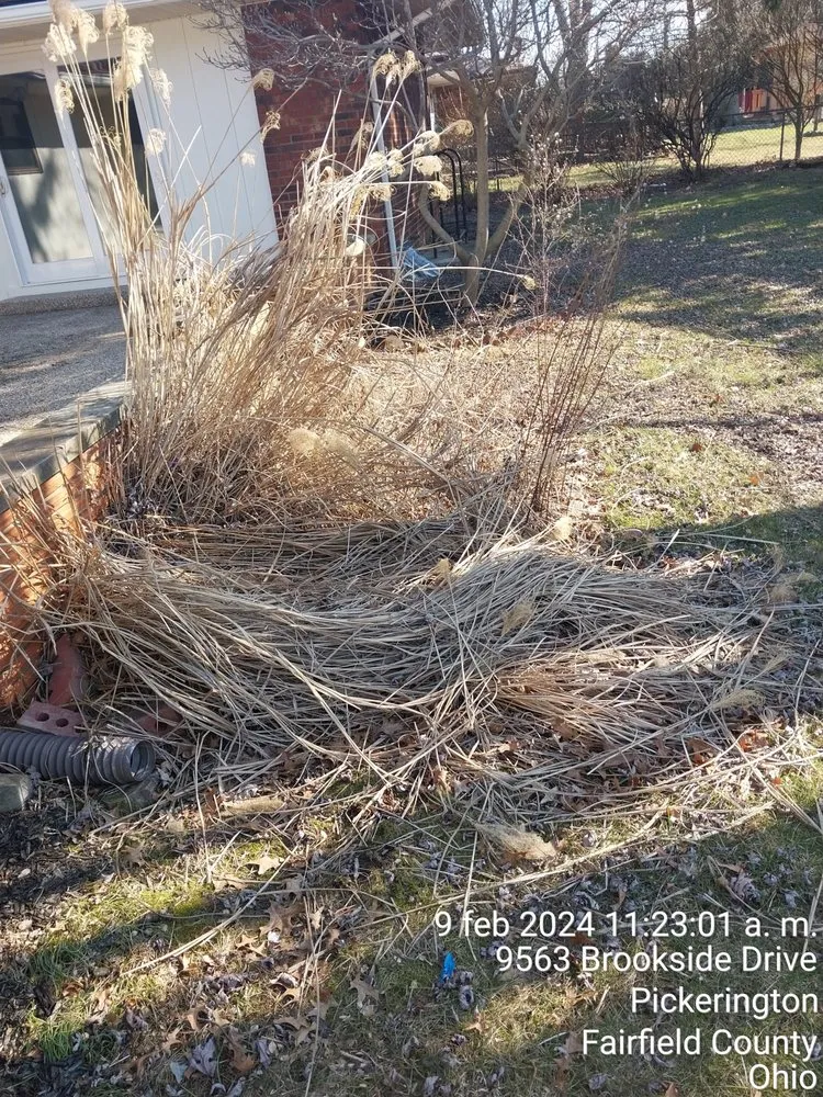 Trusted lawn mowing service near you in Columbus, OH by Maldonado Landscaping