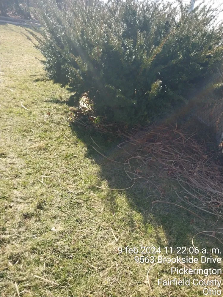 Top-rated lawn care service in Columbus, OH - Maldonado Landscaping