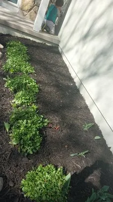 Maldonado Landscaping Logo