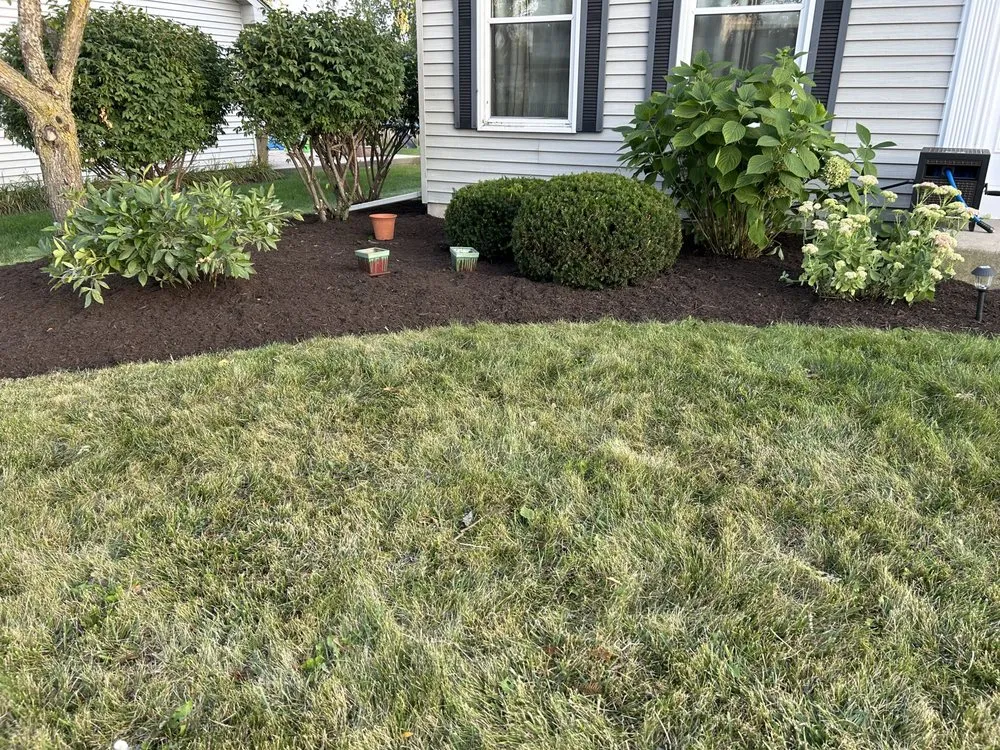 Trusted yard maintenance experts serving Kenosha, WI - Maldonado Landscaping