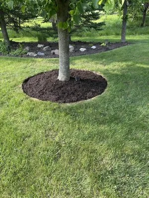 Maldonado Landscaping Logo