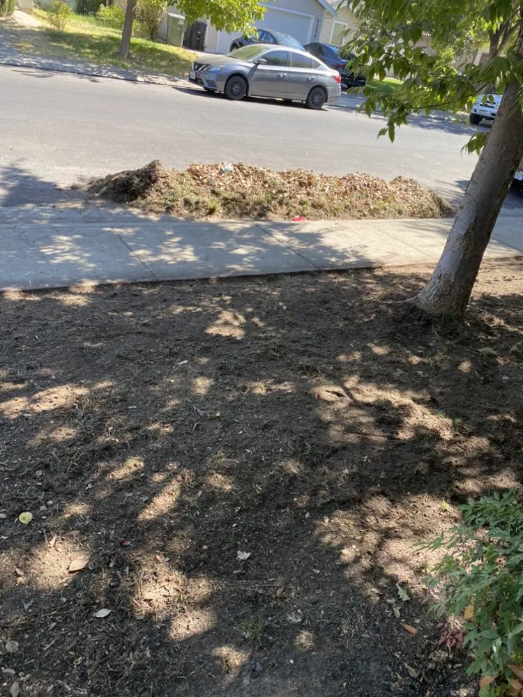 Reliable landscape design in Modesto, CA by Maldonado Landscaping