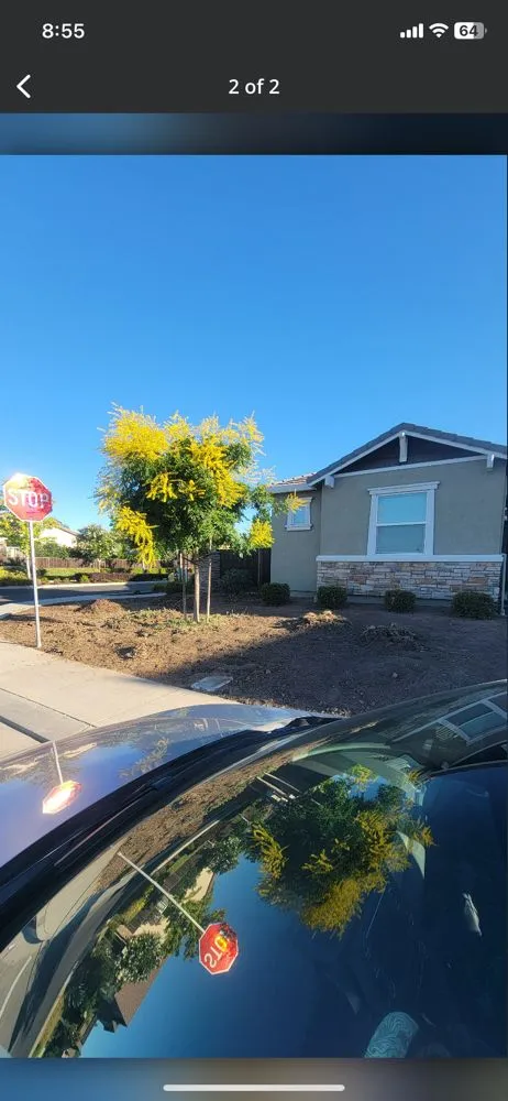 Trusted lawn care service in Modesto, CA by Maldonado Landscaping