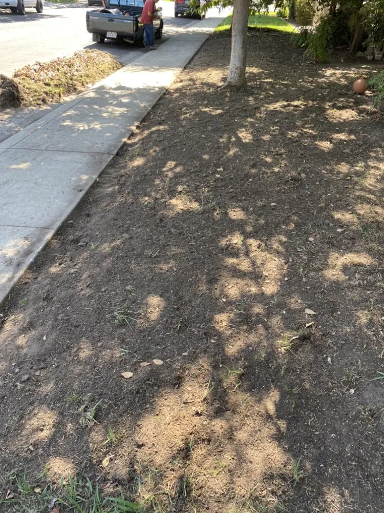 Reliable landscape installation for year-round maintenance across Modesto, CA - Maldonado Landscaping