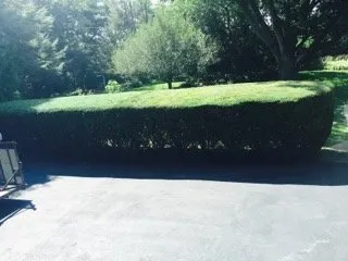 Professional yard maintenance in Saint Georges, DE by Maldonado Landscaping