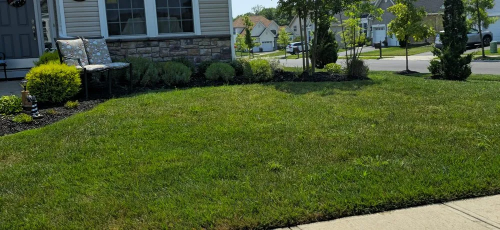 Expert lawn care service in Stafford, VA by Maldonado Landscaping