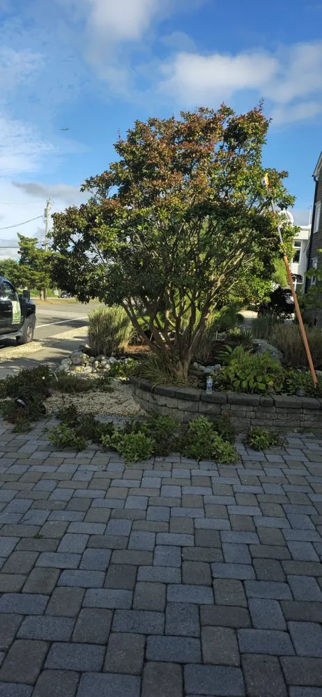 Local lawn mowing service for year-round maintenance in Stafford, VA by Maldonado Landscaping