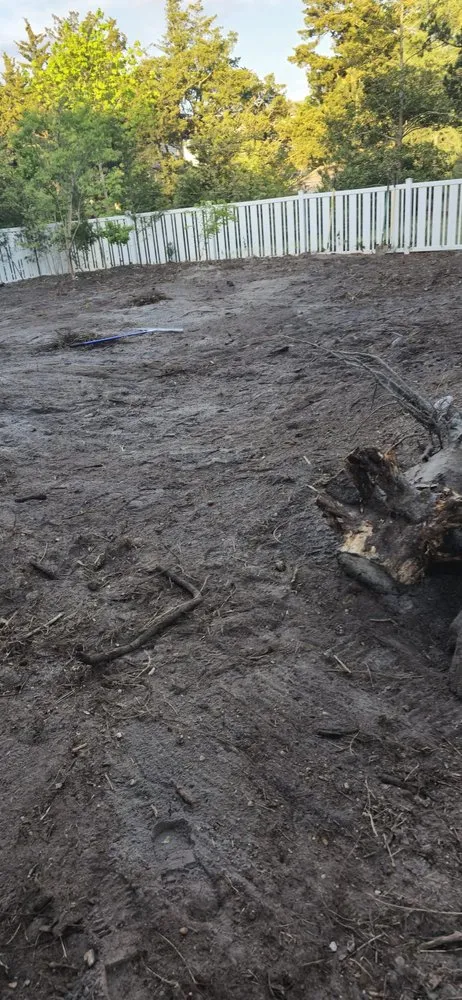 Expert lawn care service experts serving Stafford, VA - Maldonado Landscaping